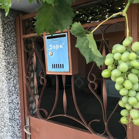 Guest house Kozarov Sveti Vlas